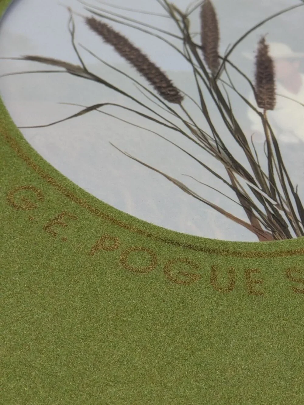 Flocked Cover Mat Vintage 1983 G.E. Pogue Seed Co Catalog Texas Grass Ephemera